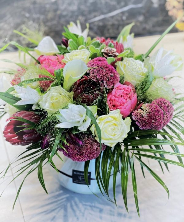 thumbnail_image0 (1)