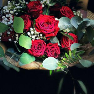 87187968-71ec-4a49-b2fc-a159714865cb 87187968-71ec-4a49-b2fc-a159714865cb